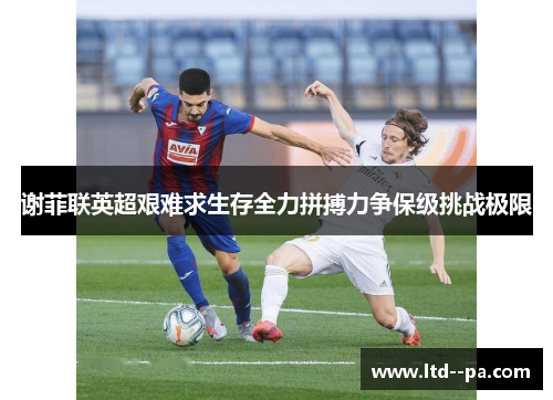 谢菲联英超艰难求生存全力拼搏力争保级挑战极限