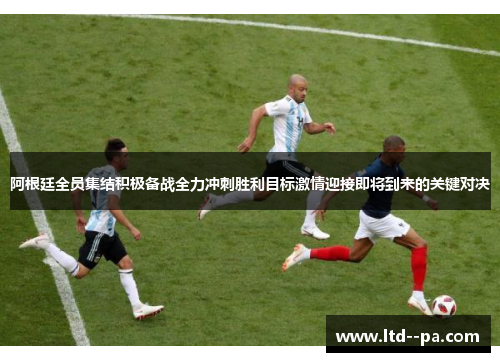 阿根廷全员集结积极备战全力冲刺胜利目标激情迎接即将到来的关键对决